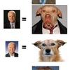 436 - Candidate Equals