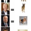 436 - Candidate Equals