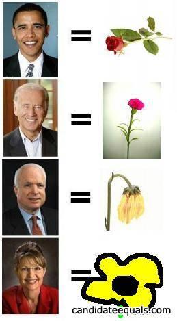 Obama-mccain-funny-1226271676-81452
